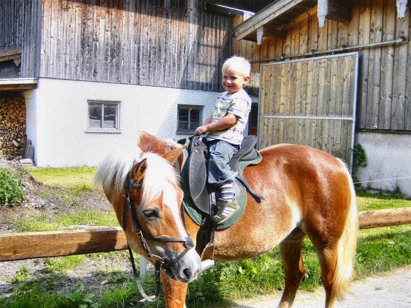 Kind auf dem Haflinger