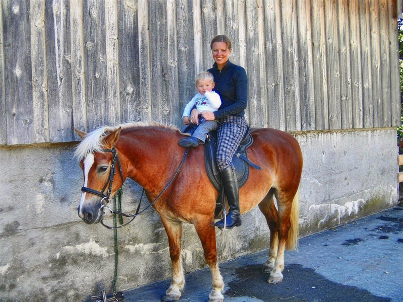 Mit dem Haflinger am Hof