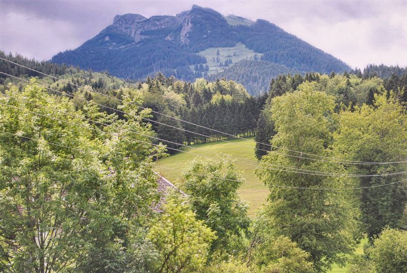 Sommer in den Bergen