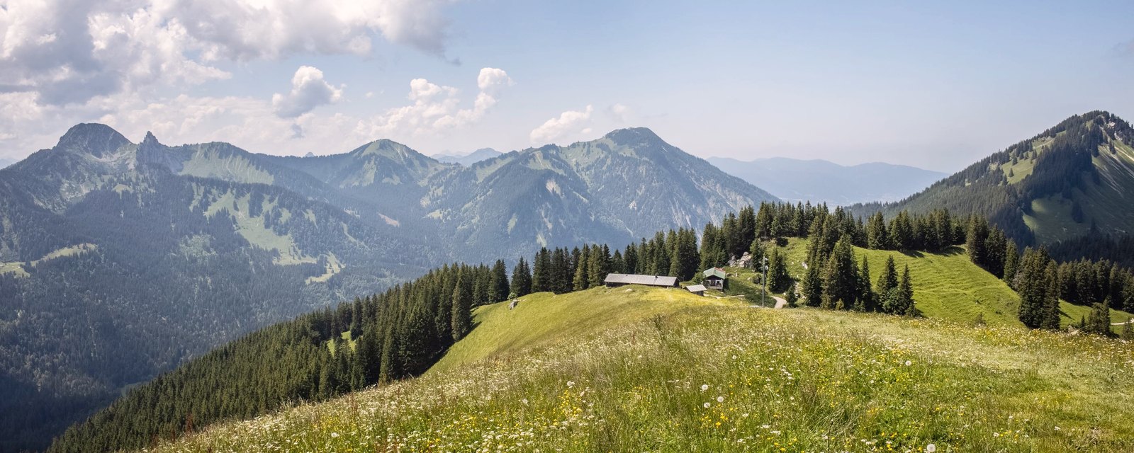 Almwiesen und bewaldete Bergrücken in den bayerischen Voralpen