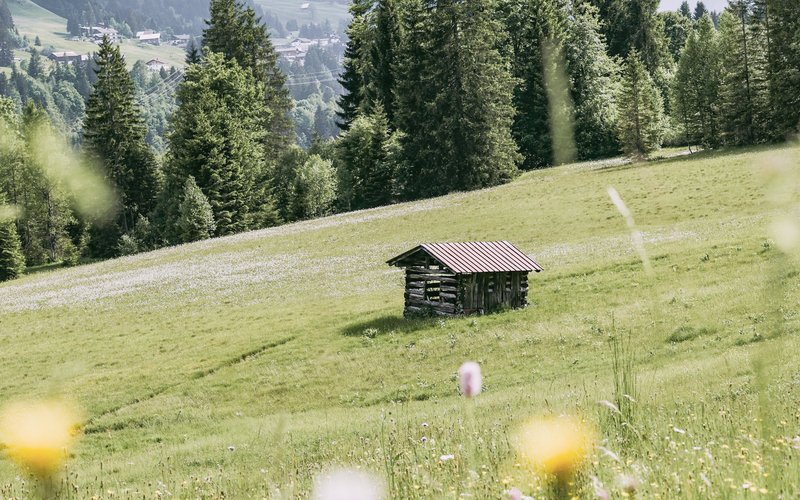 Sommer in den Bergen – Almwiese mit Hütte