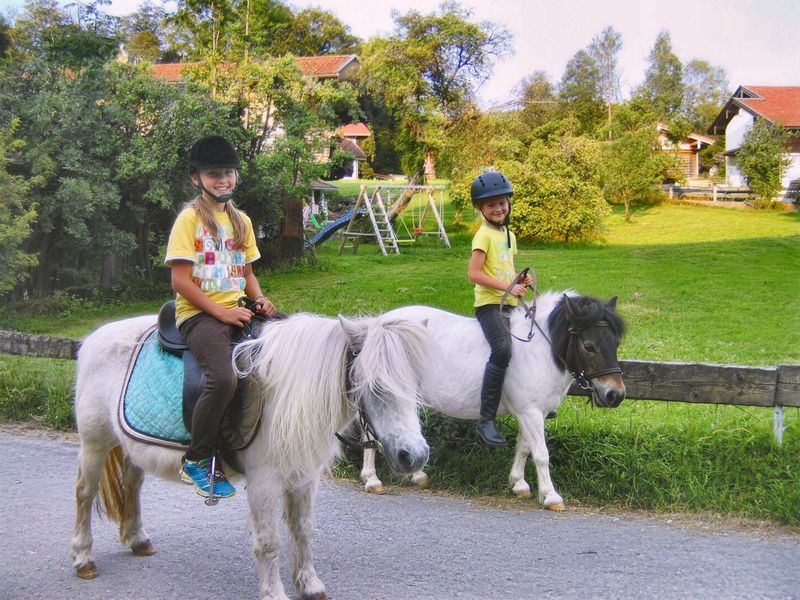 Ponyreiten am Hof