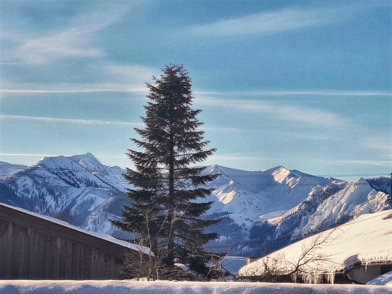 Verschneite Berge